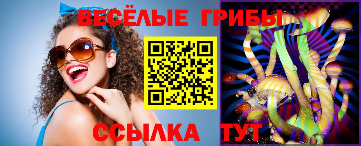 Псилоцибиновые грибы Psilocybine cubensis  Вход с VPN  Скопин  наркошоп  Псилоцибиновые грибы Magic Shrooms 